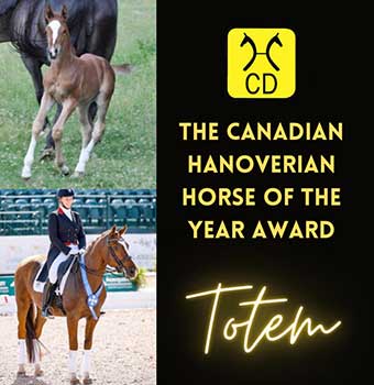 Totem Canadian Hanoverian Horse of the Year